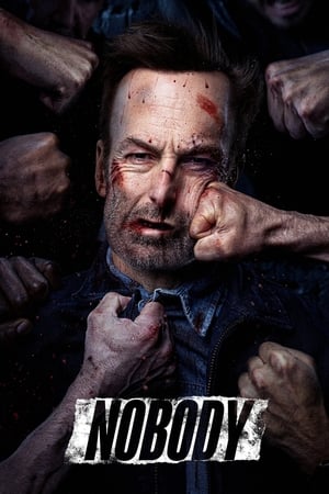 Nobody (2021) Hindi Dual Audio BluRay – 720p – 480p - Movierulz