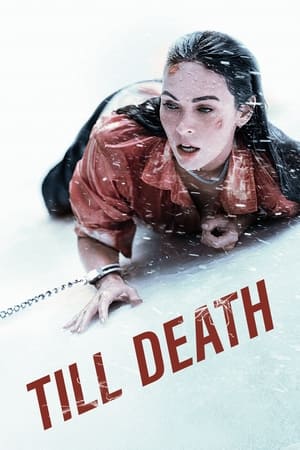 Till Death (2021) Hindi Dual Audio 480p HDRip 350MB - Movierulz